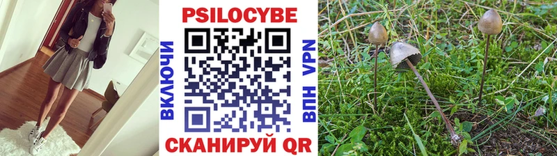 Галлюциногенные грибы Psilocybine cubensis блэк спрут зеркало Пойковский