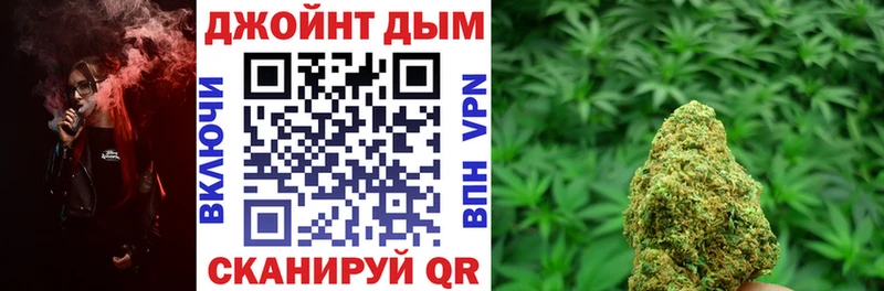 Каннабис планчик Пойковский